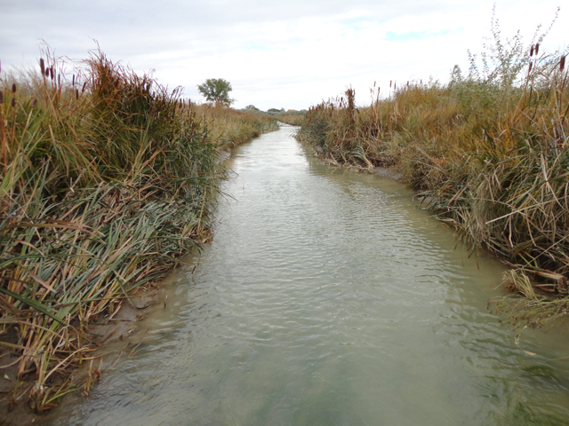 The U.S. Environmental Protection Agency wants to change the effective date of the 2015 waters of the United States rule to allow for a complete rewrite. (DTN/Progressive Farmer file photo by Jim Patrico)